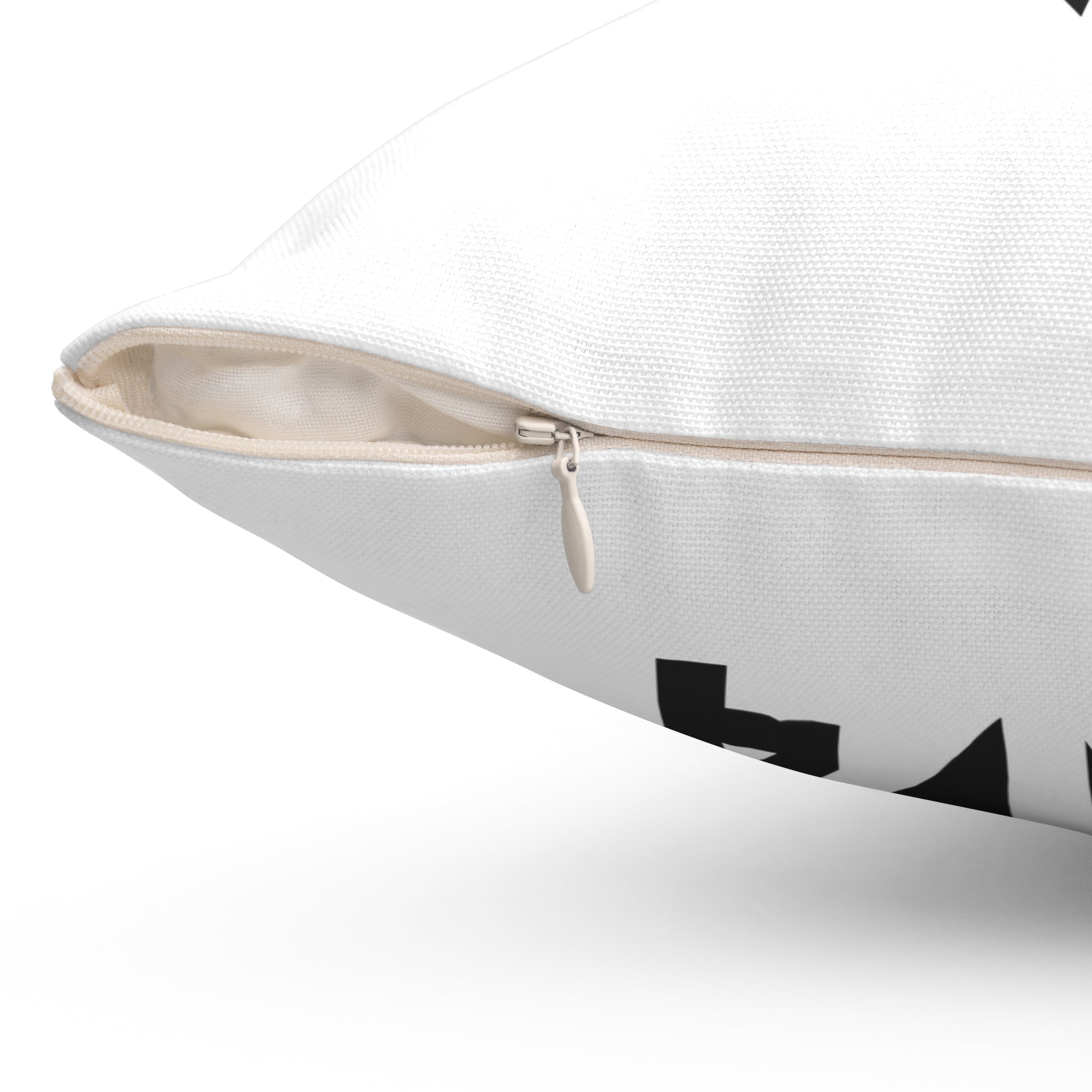 OG4 Square Pillow